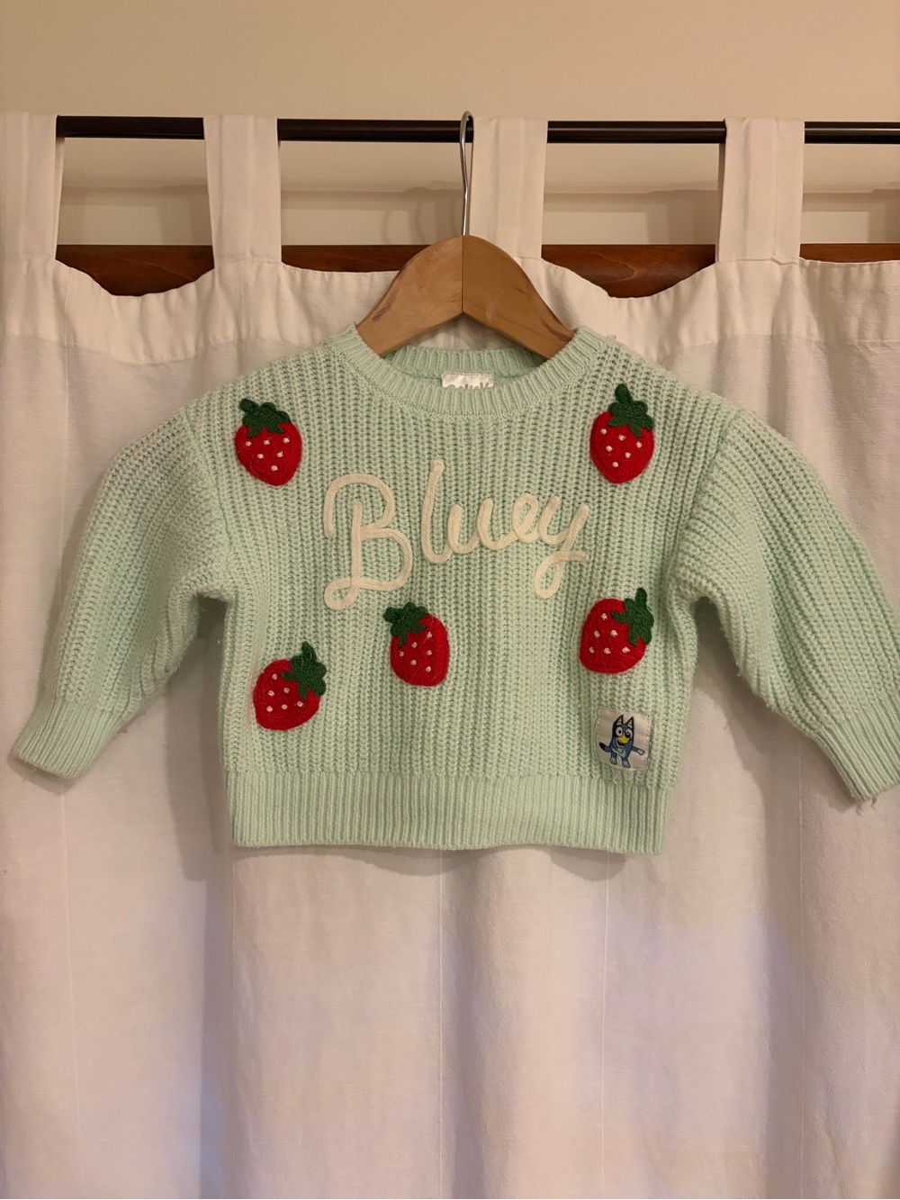 Bluey Kids Mint Strawberry Knit Sweater
